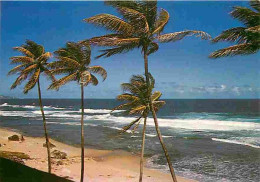 Antilles - Plage Aux Antilles Sous L'Alizé - CPM - Voir Scans Recto-Verso - Andere & Zonder Classificatie