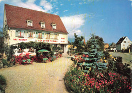 FRANCE - Ammerschwihr - Hôtel - Restaurant Aux Trois Merles - Carte Postale - Autres & Non Classés