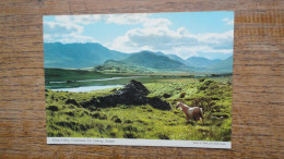 Irlande , Galway , Maan Valley , Connemara - Galway