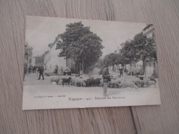 CPA 83 Var Draguignan Boulevard Des Marronniers Berger Troupeau De Moutons - Draguignan