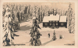 NORVEGE - Skimuseet Frognersaeteren - Station De Ski - Animé - Neige - Sapins - Carte Postale Ancienne - Norway