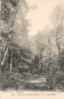 FRANCE - Forêt De La Sainte Baume - La Grand Draïo - Vue Sur Une Allée Dans La Forêt - Carte Postale Ancienne - Brignoles