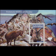 GIBRALTAR 2007 - Scott# 1103 S/S Ibex MNH - Gibraltar