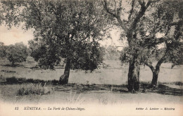 MAROC - Kenitra - La Forêt De Chênes Lièges - J Lecker - Arbres - Carte Postale Ancienne - Sonstige & Ohne Zuordnung