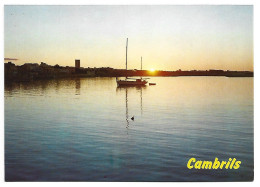 EL PUERTO / LE PORT / THE PORT.-  CAMBRILS / TARRAGONA.- ( CATALUNYA ) - Tarragona