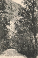 FRANCE - St Zacharie (Var) - La Sainte Baume - Montée De La Grotte - Vue Sur Une Allée - Carte Postale Ancienne - Saint-Zacharie