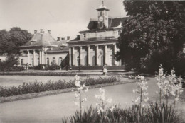 83325 - Dresden-Pillnitz - Schloss Und Park, Neues Palais - 1975 - Pillnitz