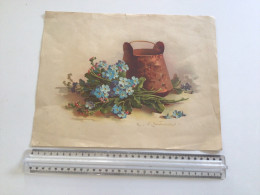 Page Signée Catharina Klein Cruche Et Myosotis - Popular Art