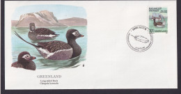 Greenland Grönland Fauna Tiere Spießente Schöner Künstler Brief - Covers & Documents