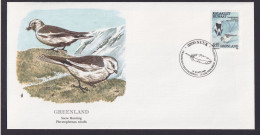 Greenland Grönland Fauna Tiere Vögel Schneeammer Schöner Künstler Brief - Brieven En Documenten