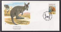 Australia Australien Fauna Tiere Felsen Wallaby Schöner Künstler Brief - Collezioni