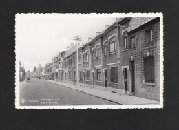 ZOTTEGEM /SOTTEGEM - ERWETEGEMSTRAAT - NELS  (2826) - Zottegem