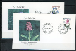 Z38-11-2 Danemark FDC 1er Jour N°  Fleurs  A Saisir !!! - Autres & Non Classés