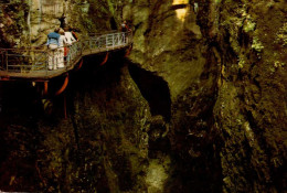 LES GORGES DU FIER  ( HAUTE SAVOIE ) - Lovagny