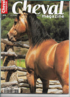 CHEVAL Magazine Nº 353 , Avril 2001 , Horse , Horses , Used But In Good Condition , 158 Pages - Tierwelt