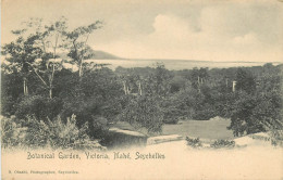 SEYCHELLES , Botanical Garden , Victoria , Mahé , *  460 59 - Seychelles