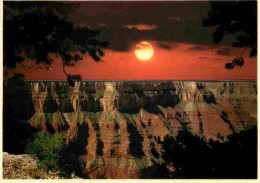 Etats Unis - Grand Canyon - Sunset Point - Etat De L'Arizona - Arizona State - CPM - Carte Neuve - Voir Scans Recto-Vers - Gran Cañon