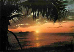 Antilles - Coucher De Soleil - CPM - Voir Scans Recto-Verso - Autres & Non Classés