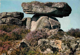 19 - Treignac - La Pierre Des Druides - Curiosité Géologique - CPM - Voir Scans Recto-Verso - Treignac