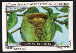 Nestlé - 50 - Les Nids, Bird Nests - 9 - Fauvette Couturiere, Tailorbird - Nestlé