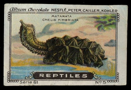 Nestlé - 61 - Reptiles - 5 - Matamata, Mata Mata, Turtle, Chelus Fimbriata - Nestlé