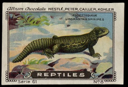 Nestlé - 61 - Reptiles - 8 - Fouettequeue, Uromastyx, Mastigures - Nestlé