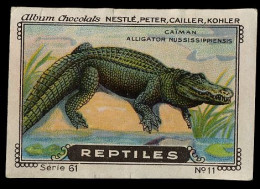 Nestlé - 61 - Reptiles - 11 - Alligator - Nestlé