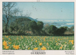 101234 - Grossbritannien - Guernsey - 1987 - Guernsey