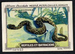 Nestlé - 62 - Reptiles Et Batraciens, Reptiles And Amphibians - 11 - Crotale, Rattlesnake, Snake - Nestlé