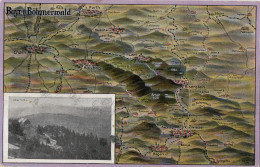 BAYR.U. BÖHMERWALD - CARTOLINA  FP SPEDITA NEL 1919 - Cham