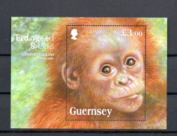 Guernsey 2014 Sheet Monkey/Orangutan Stamps (Michel Block 68) Nice MNH - Guernsey