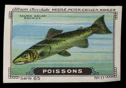 Nestlé - 65 - Poissons, Fish - 11 - Saumon, Salmon - Nestlé