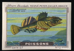 Nestlé - 67 - Poissons, Fish - 2 - Chabot De Mer, Longspined Bullhead - Nestlé