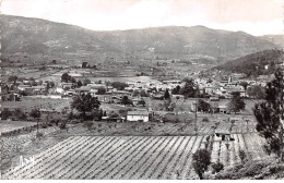 83 - SAN63166 - ST ZACHARIE - Vue Générale - CPSM 14x9 Cm - Saint-Zacharie