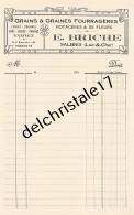 41 0032 SALBRIS LOIR ET CHER 193. VIERGE Grains Graines Fourragères Potagères De Fleurs E. BRICHE Tourteaux Farines  - Landwirtschaft