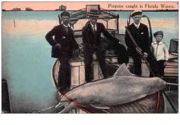 Sport. N°47882 . Peche . Dauphin. - Pesca