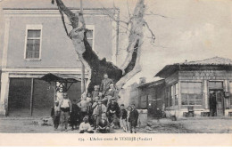 Yougoslavie - N°71249 - L'arbre Creux De YENIDJE (Vardar) - Jugoslawien