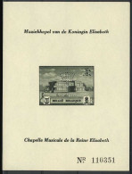 België PR48 ** - Muziekkapel Koningin Elisabeth - BL14 Geperforeerd  En Genummerd - Posta Privata & Locale [PR & LO]