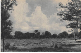 Scoutisme - N°83100 - N°5 Jamboree 1947 - Vue Du Terrain De Moisson - Scoutismo