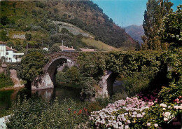 64 - Bidarray - Le Vieux Pont - Fleurs - CPM - Voir Scans Recto-Verso - Bidarray