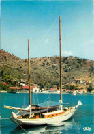 Guadeloupe - Saint Barthelemy - Baie De Gustavia - CPM - Voir Scans Recto-Verso - Saint Barthelemy