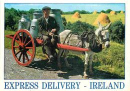 Irlande - Express Delivery - Anes - Pots De Lait - Charrette - CPM - Voir Scans Recto-Verso - Other