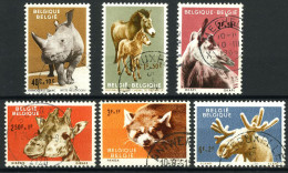België 1182/87 - Zoo Van Antwerpen I - Dieren - Gestempeld - Oblitéré - Used - Used Stamps
