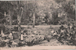 72339 - Frankreich - Cote D’Azur - Nos Jardins - Ca. 1930 - Andere