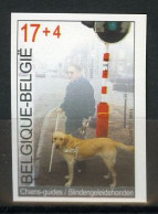 België 2789 ON - Solidariteit - Blindengeleidehonden - Chien-guide  - Andere & Zonder Classificatie