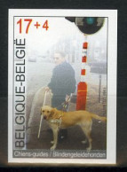 België 2789 ON - Solidariteit - Blindengeleidehonden - Chien-guide  - Other & Unclassified