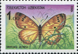 Ouzbékistan - Papillon - Butterfly - Uzbekistan