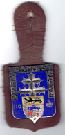 Frankreich Brustabzeichen 110th Infanterie Regiment -emailliert, Tragbar, II - France