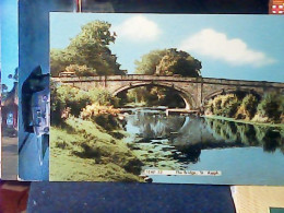 WALES PONT DAYRYDD ROMAN BRIDGE ST ASAPH OLD COLOUR POSTCARD  V1968 JV5993 - Denbighshire