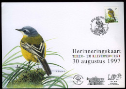 België 2725 - Gele Kwikstaart - Op Herdenkingskaart - Teken- En Kleurwedstrijd 1997 - Basisschool Deurne - André Buzin - Souvenir Cards - Joint Issues [HK]